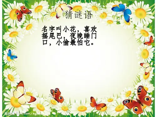 《我喜欢的小动物》PPT课件