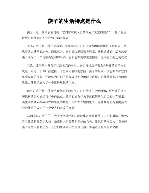 燕子的生活特点是什么