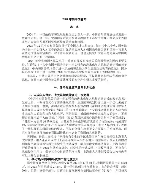2004年的中国青年