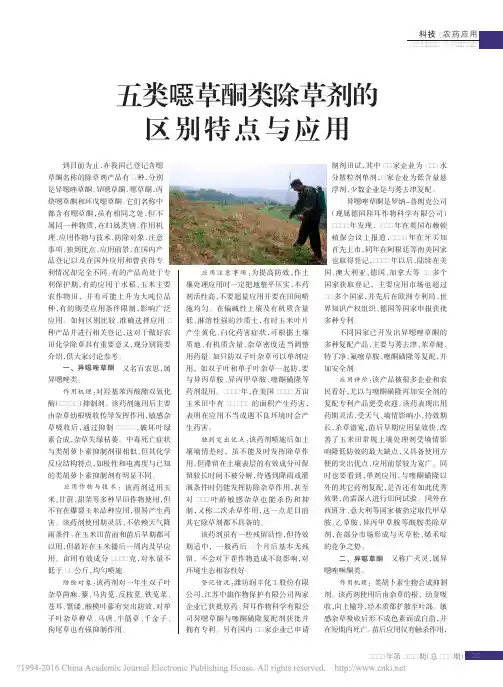 五类恶草酮类除草剂的区别特点与应用
