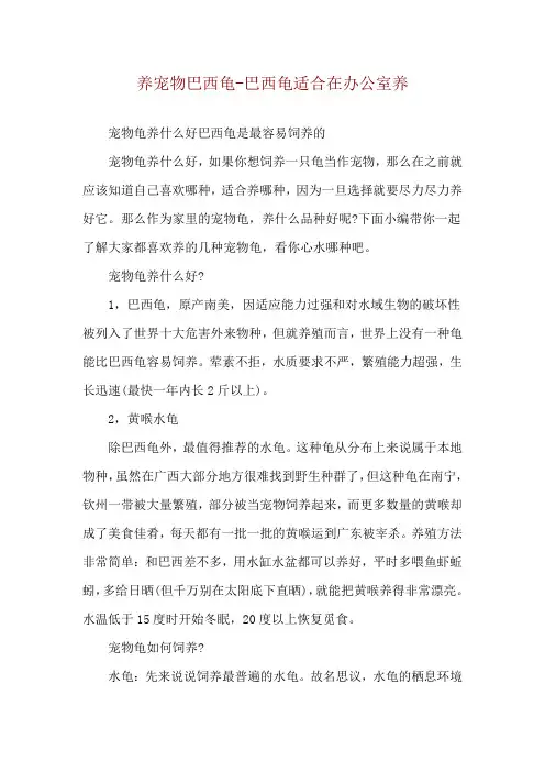 养宠物巴西龟-巴西龟适合在办公室养