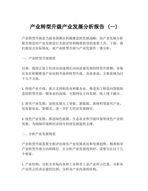 产业转型升级产业发展分析报告 (一)