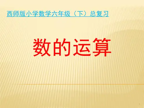 小学六年级数学总复习数的运算整理与复习(课堂PPT)