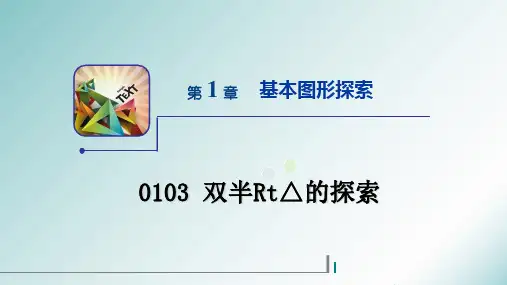 初中数学精品课件：双半RT三角形的探索3
