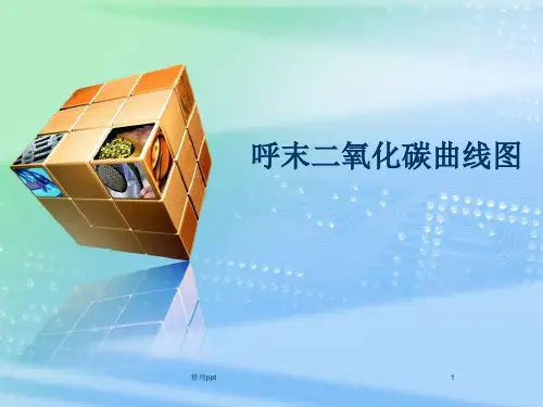 呼末二氧化碳曲线图