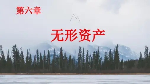 中级财务会计 第六章 无形资产
