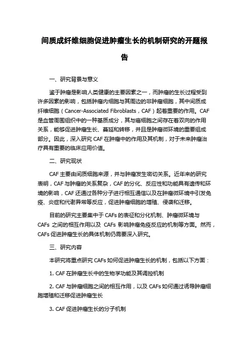 间质成纤维细胞促进肿瘤生长的机制研究的开题报告