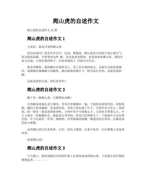爬山虎的自述作文