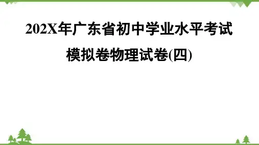 广东省初中学业水平考试模拟卷物理试卷