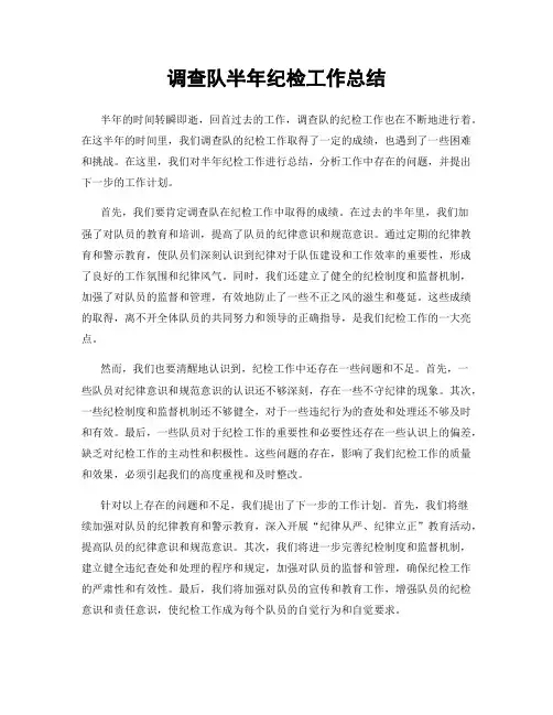 调查队半年纪检工作总结
