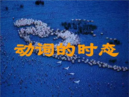 初中英语语法时态(共25张PPT)