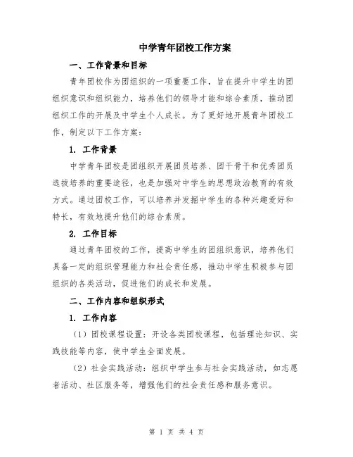 中学青年团校工作方案