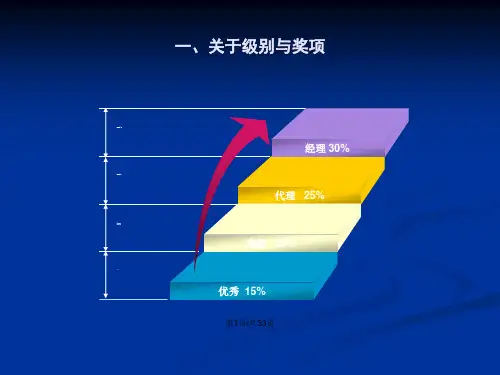销售员工奖励计划.pptx