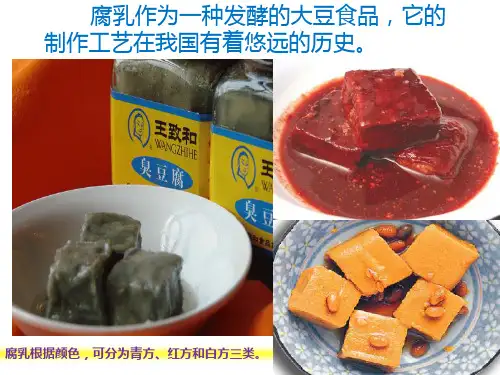 腐乳的制作ppt总结ppt课件