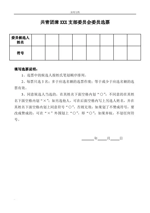 团支部委员、书记选票