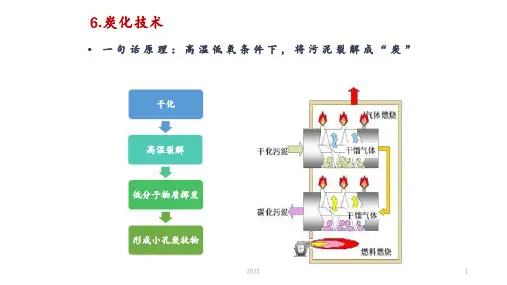 污泥碳化技术及低温干化技术简介PPT课件