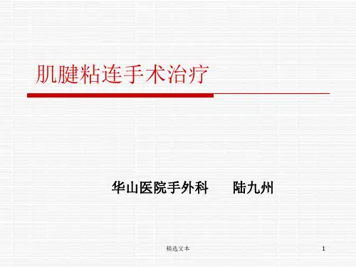 手部肌腱粘连松解