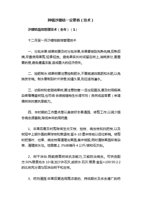 种植沙糖桔一定要看（技术）
