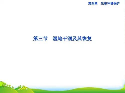 高中地理 第四章第三节湿地干涸及其恢复课件 新人教选修6