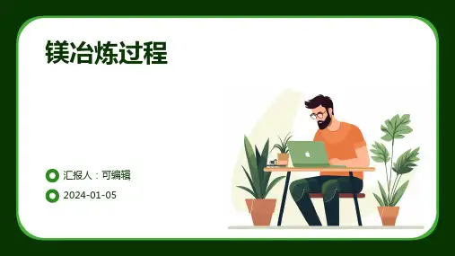 镁冶炼过程