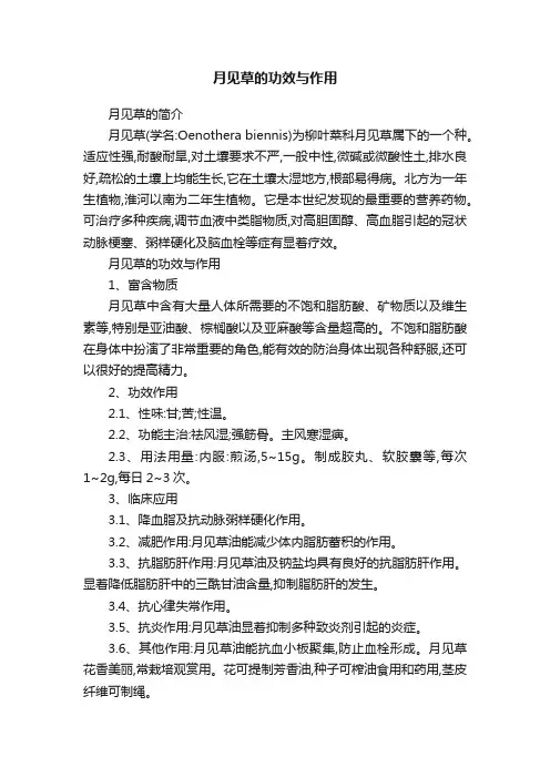 月见草的功效与作用