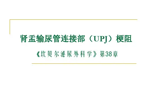 肾盂输尿管连接部(UPJ)梗阻-PPT精品课件