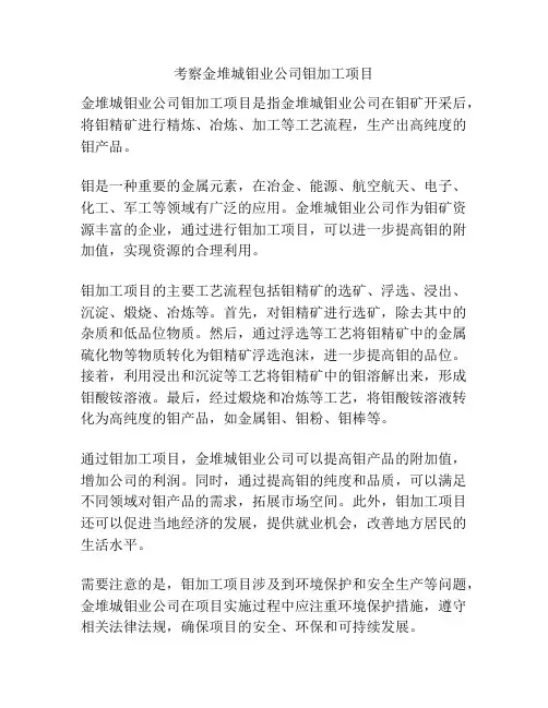 考察金堆城钼业公司钼加工项目