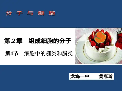 人教版高中生物必修一第二章第4节《细胞中的糖类和脂质》优秀课件(24张)(共24张PPT)