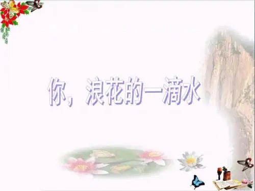 《你,浪花的一滴水》PPT教学课件