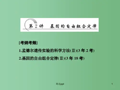 高三生物一轮复习 第一单元 第2讲 基因的自由组合定律课件 新人教版必修2
