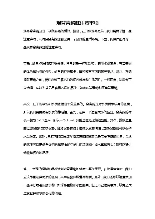 观背青鳉缸注意事项