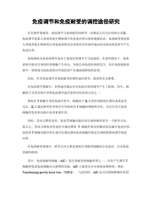 免疫调节和免疫耐受的调控途径研究