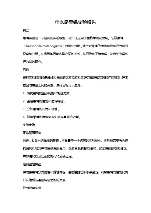 什么是果蝇实验报告