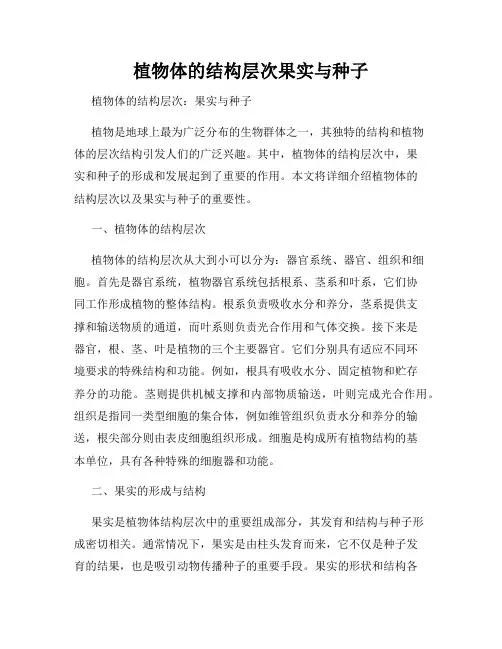 植物体的结构层次果实与种子