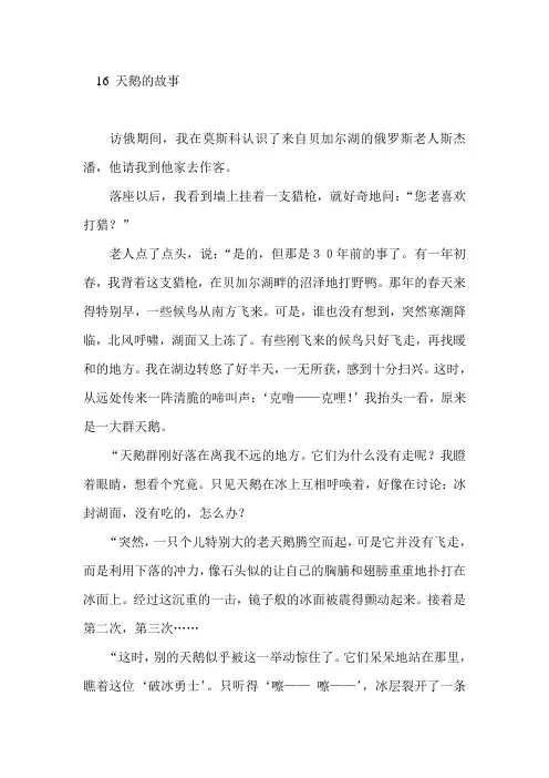 16 天鹅的故事