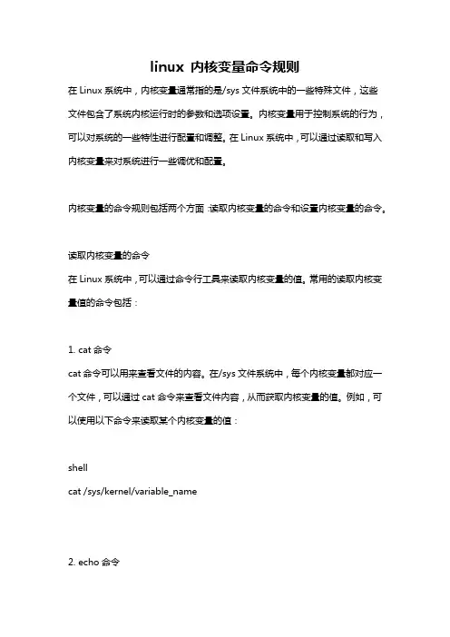 linux 内核变量命令规则