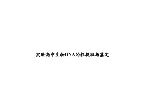 实验高中生物DNA的粗提取与鉴定