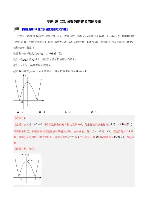 专题10 二次函数的新定义问题专训(解析版)