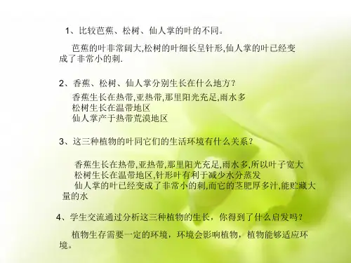 五年级上册科学课件-1.4《蚯蚓的选择》 ｜教科版        (共8张PPT)