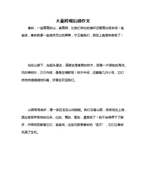 大秦岭观后感作文