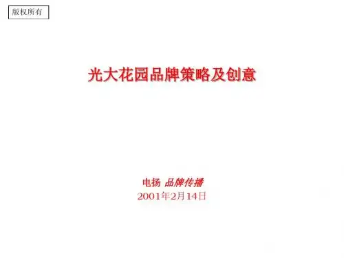 某品牌策略及创意培训课件(PPT 50页)