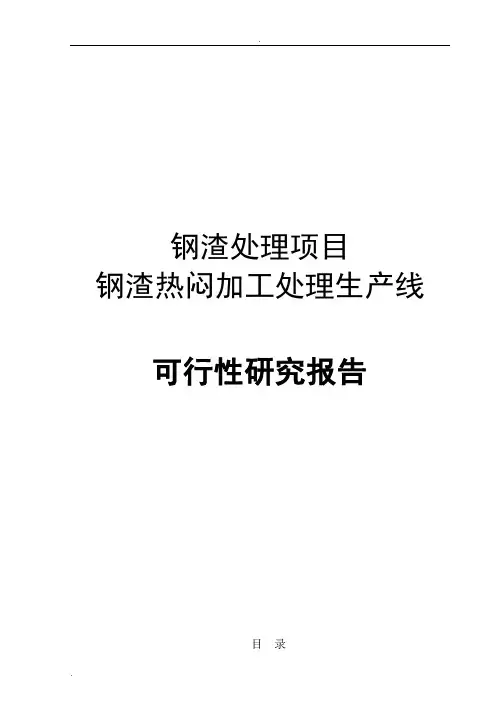 钢渣处理项目——钢渣热闷加工处理生产线可行性研究报告