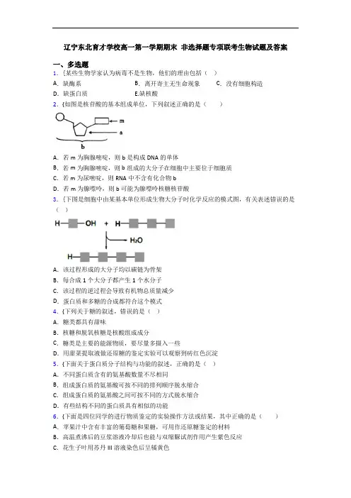 辽宁东北育才学校高一第一学期期末 非选择题专项联考生物试题及答案