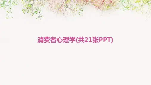 消费者心理学(共21张PPT)