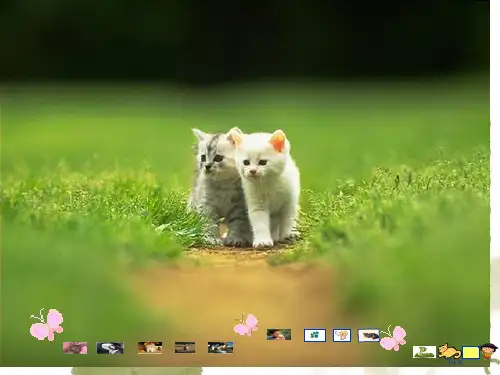 四年级《公开课猫》ppt省公开课一等奖全国示范课微课金奖PPT课件