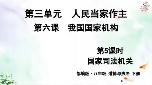 《人民当家作主》ppt