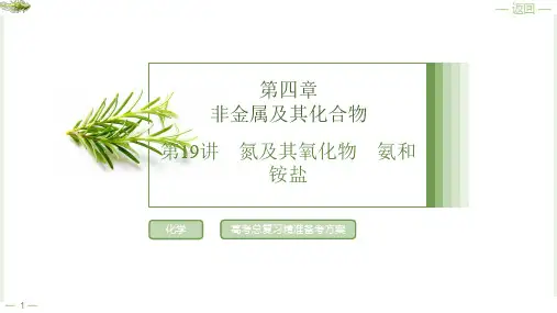第四章第19讲氮及其氧化物氨和铵盐2025年高考化学一轮复习