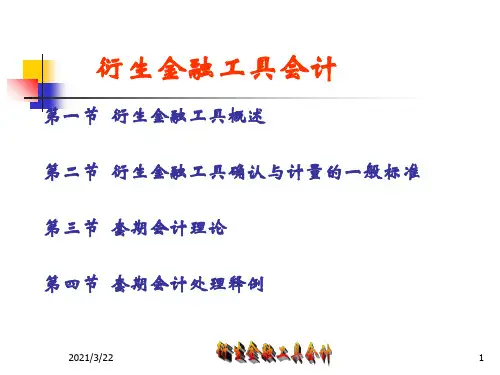衍生金融工具PPT课件
