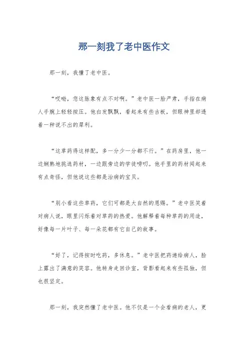 那一刻我了老中医作文