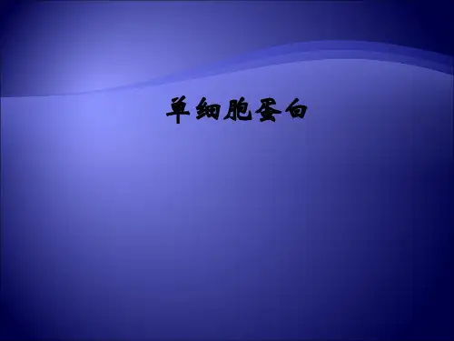 单细胞蛋白ppt课件